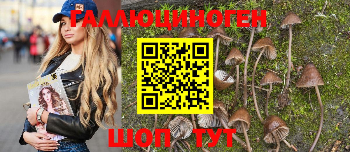 Псилоцибиновые грибы MAGIC MUSHROOMS  Вход с VPN  Тихвин  Псилоцибиновые грибы Psilocybe 